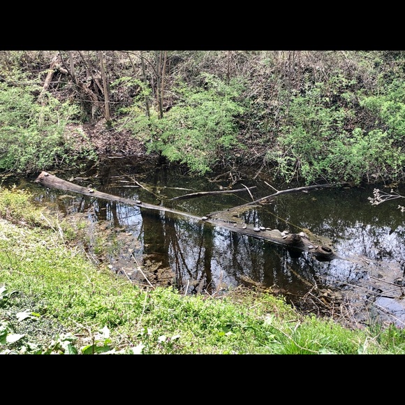 Meet your Posher, Monica - Picture 3 of 3